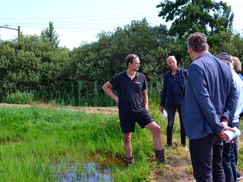 akkrumer-goedland-lisdoddentee